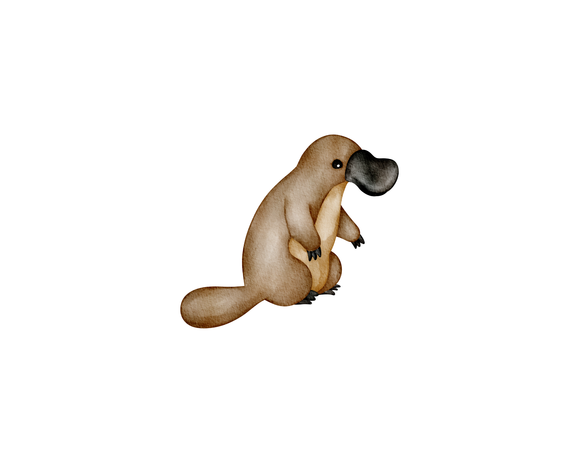 Lively Bubbles Photo Collage (18)